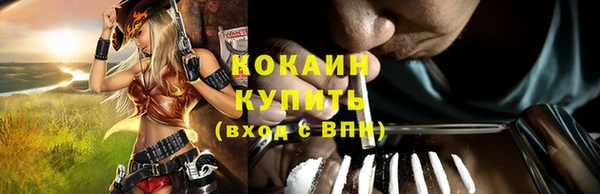 индика Корсаков