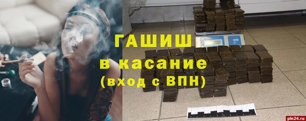 индика Корсаков
