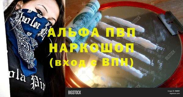 индика Корсаков