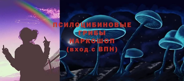 индика Корсаков