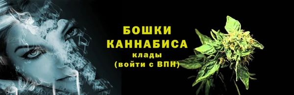 индика Корсаков