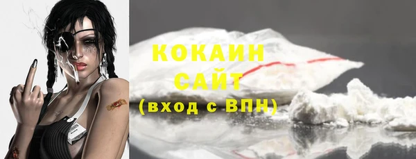 индика Корсаков