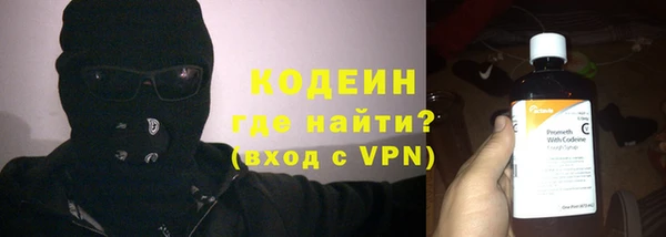 индика Корсаков
