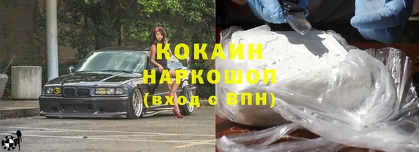 индика Корсаков